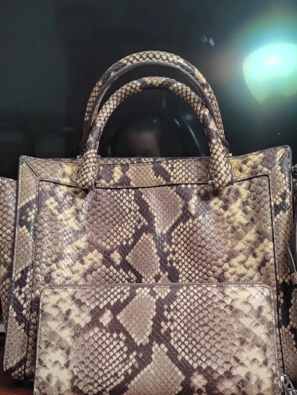 Michael Kors Large Snake-Print Leather Satchel & Strap & Matching Wallet